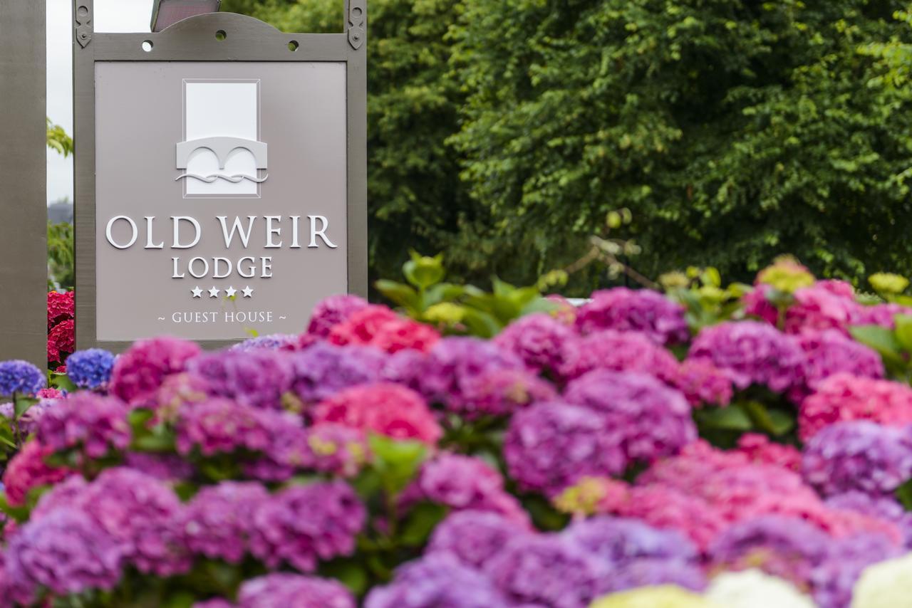 Old Weir Lodge Cill Airne Exteriör bild